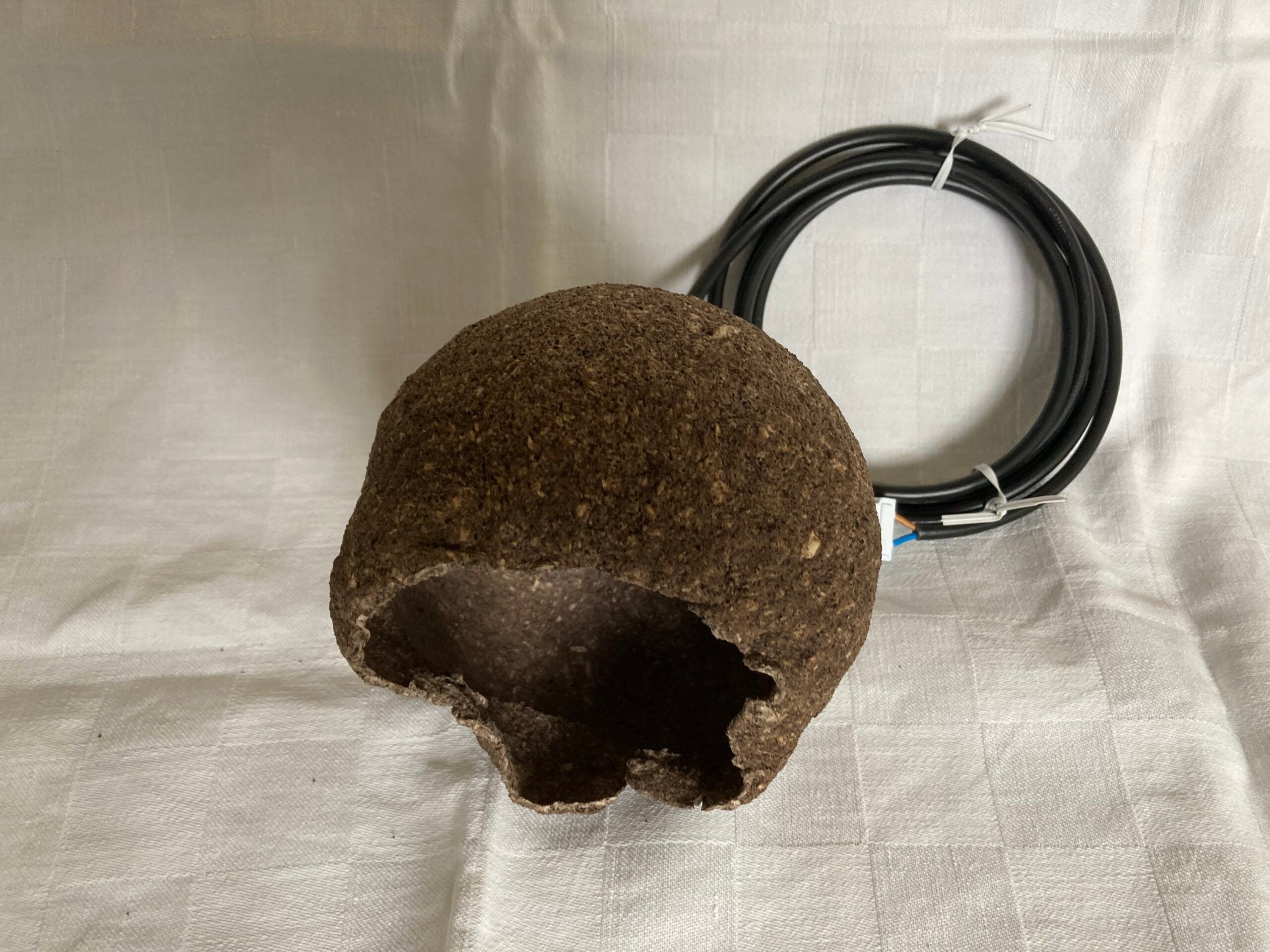 Brun lampa (krumelur)