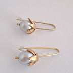 Örhängen Ekollon Kollektion