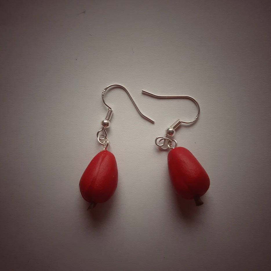 Örhängen: grönsaker