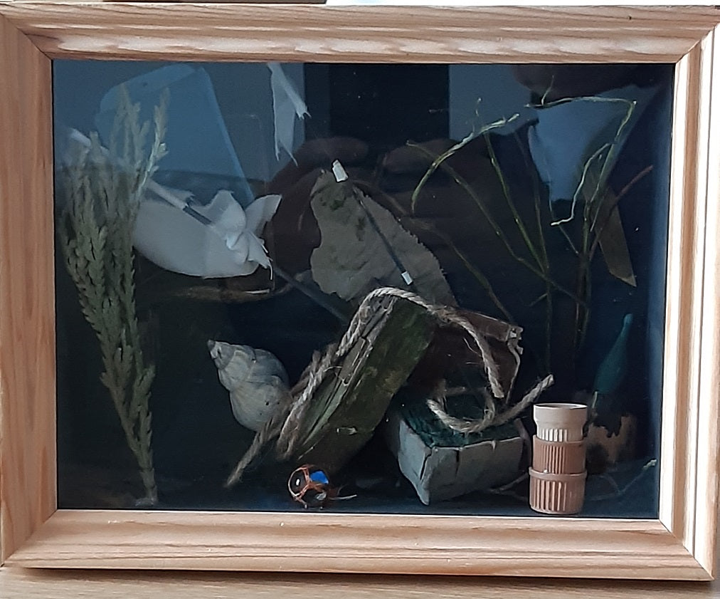 Tittskåp: Strandfynd