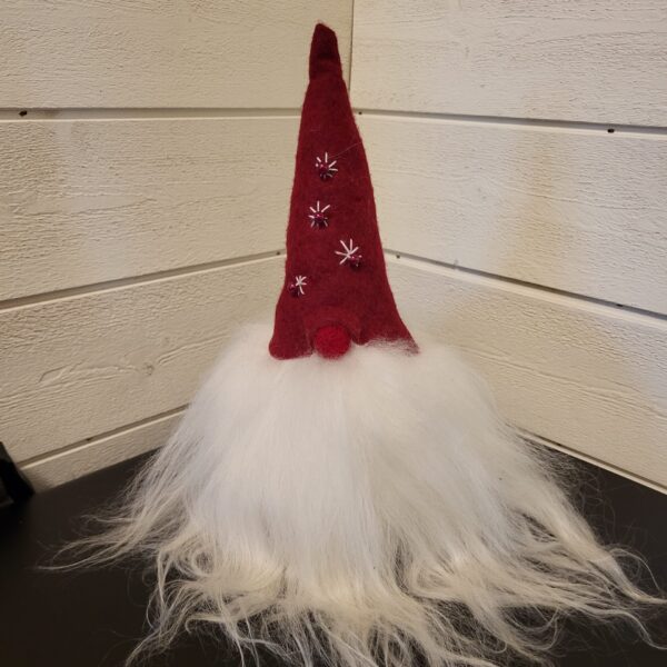 Tomte Alan