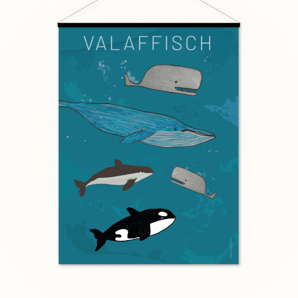 Affischen hänger i en affischhängare. Text på affischen: valaffisch Bild på affischen: 5 valar, 2 kaskelotter, 1 blåval, en tumlare, en späckhuggare.