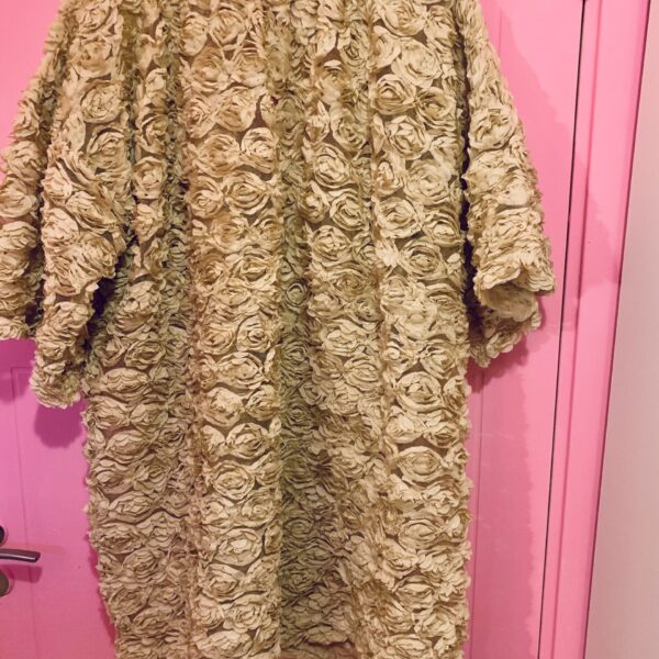 Lilly dress Onesize